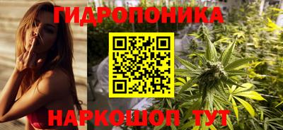 амф Ачхой-Мартан
