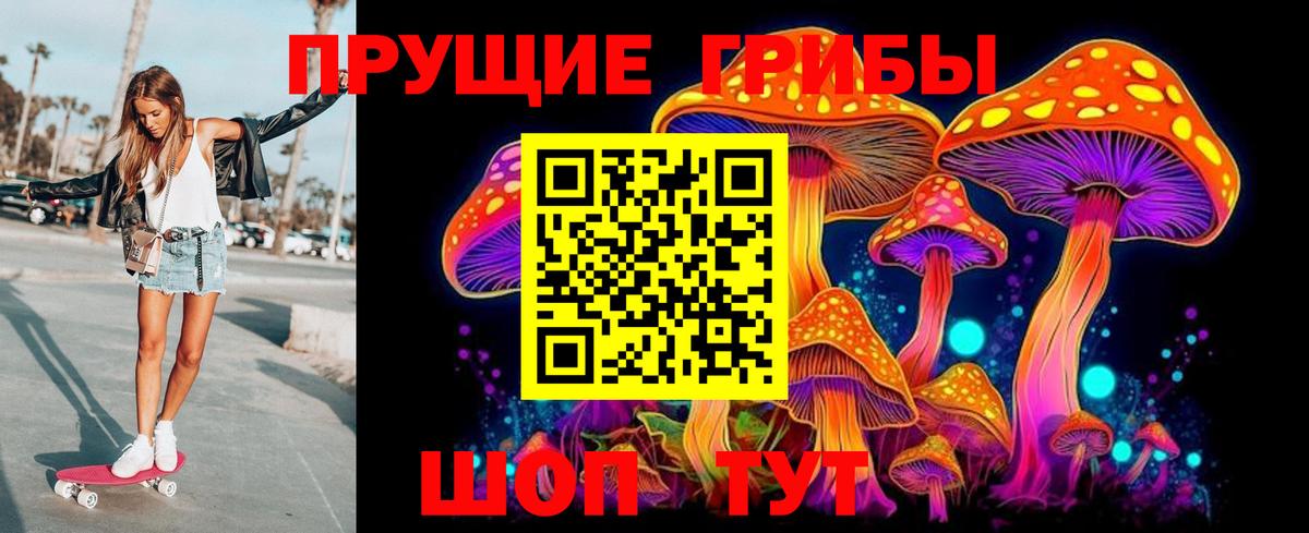 Псилоцибиновые грибы Psilocybe Каспийск