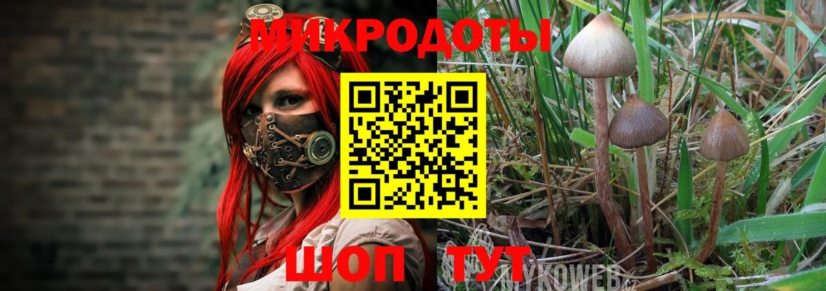 Галлюциногенные грибы мухоморы  купить наркотики сайты  Каспийск  Вход с VPN 